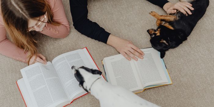 How Essay Writing Services Fit Into Modern Academic Support Systems